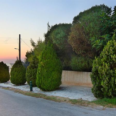Luxury Villa Sea Melody Palaiá Fókaia Eksteriør bilde